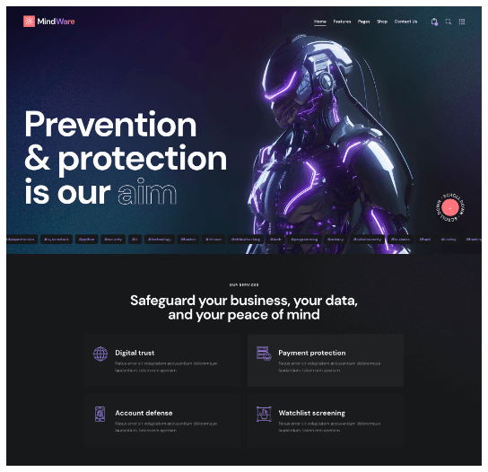 website-cyber-security